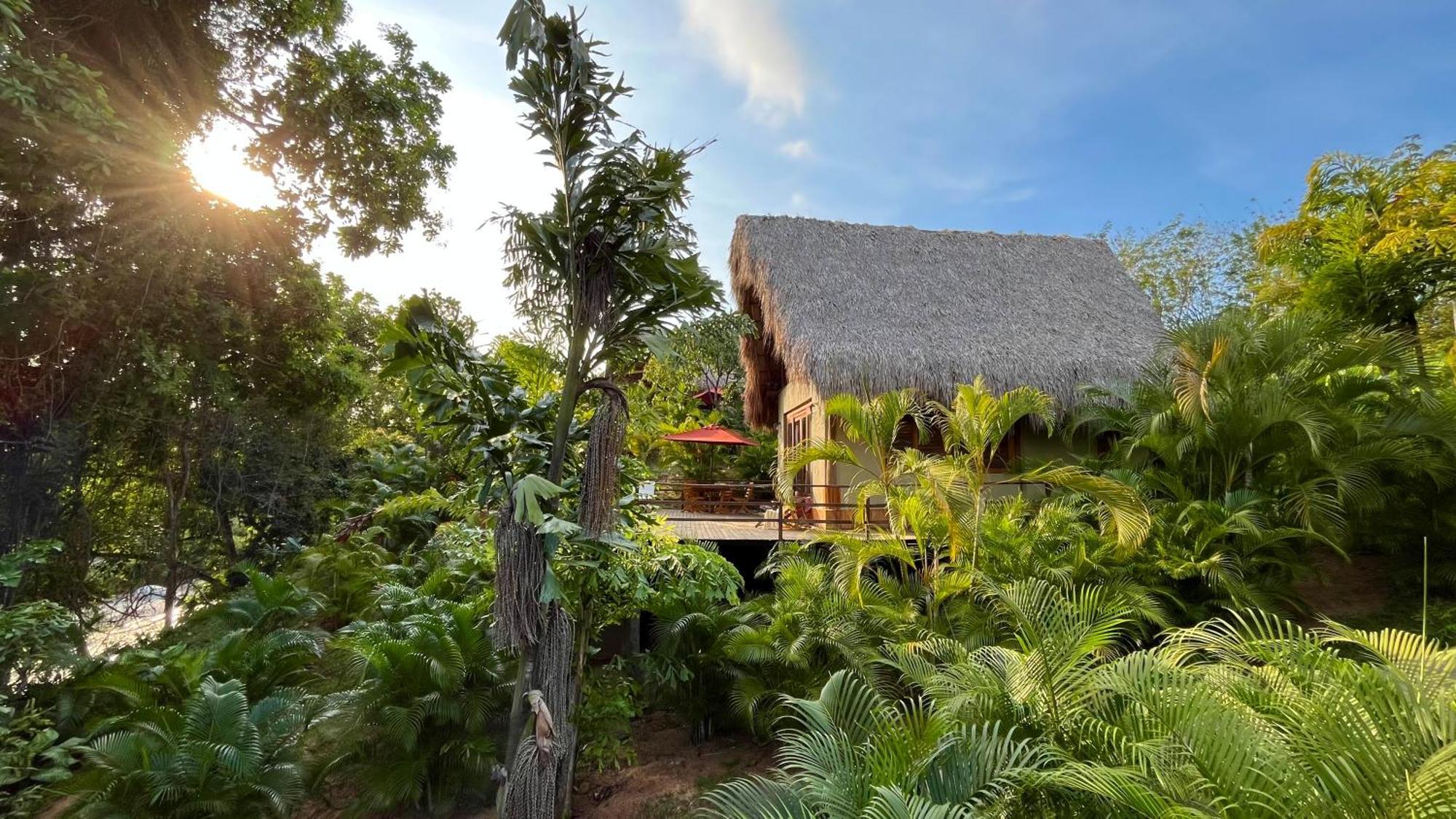 Senda Watapuy Hotel El Zaino Exterior photo Jungle view