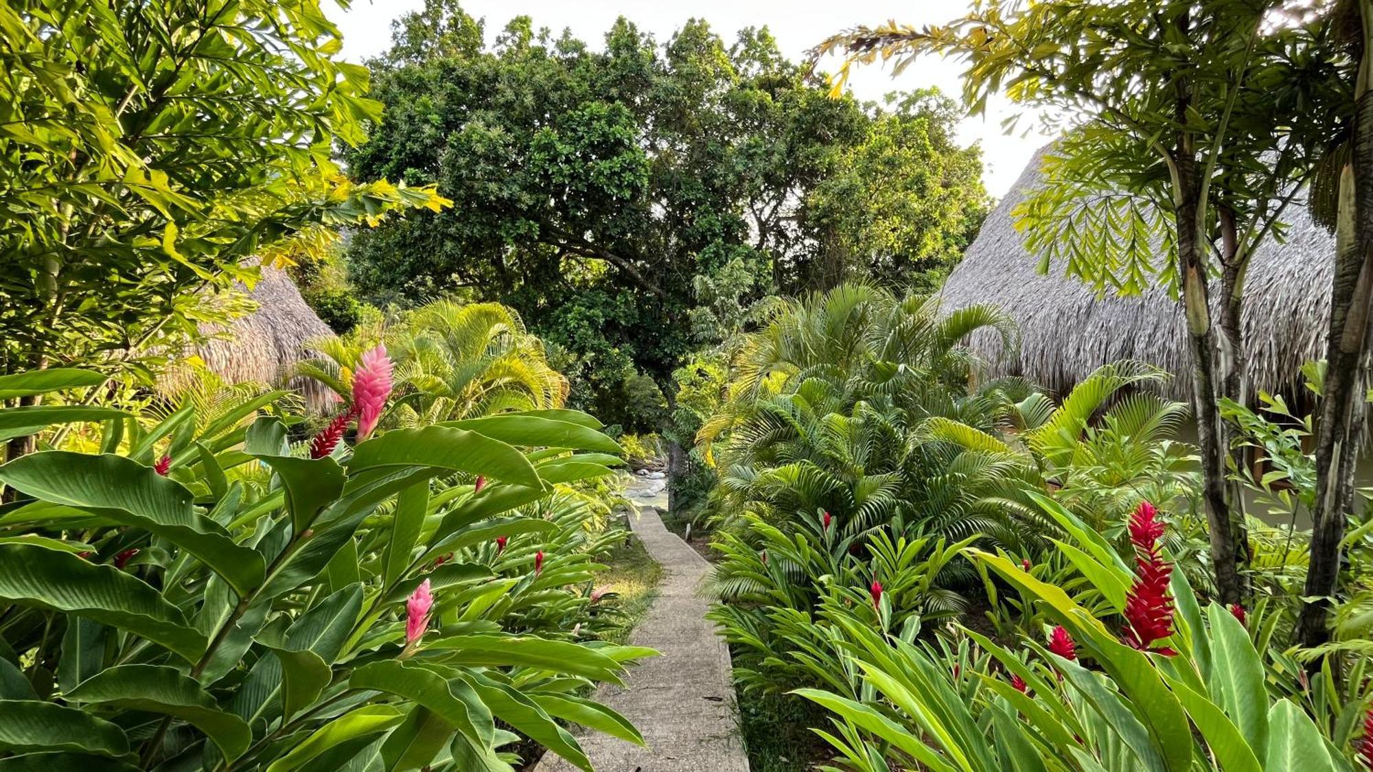 Senda Watapuy Hotel El Zaino Exterior photo A path at the resort