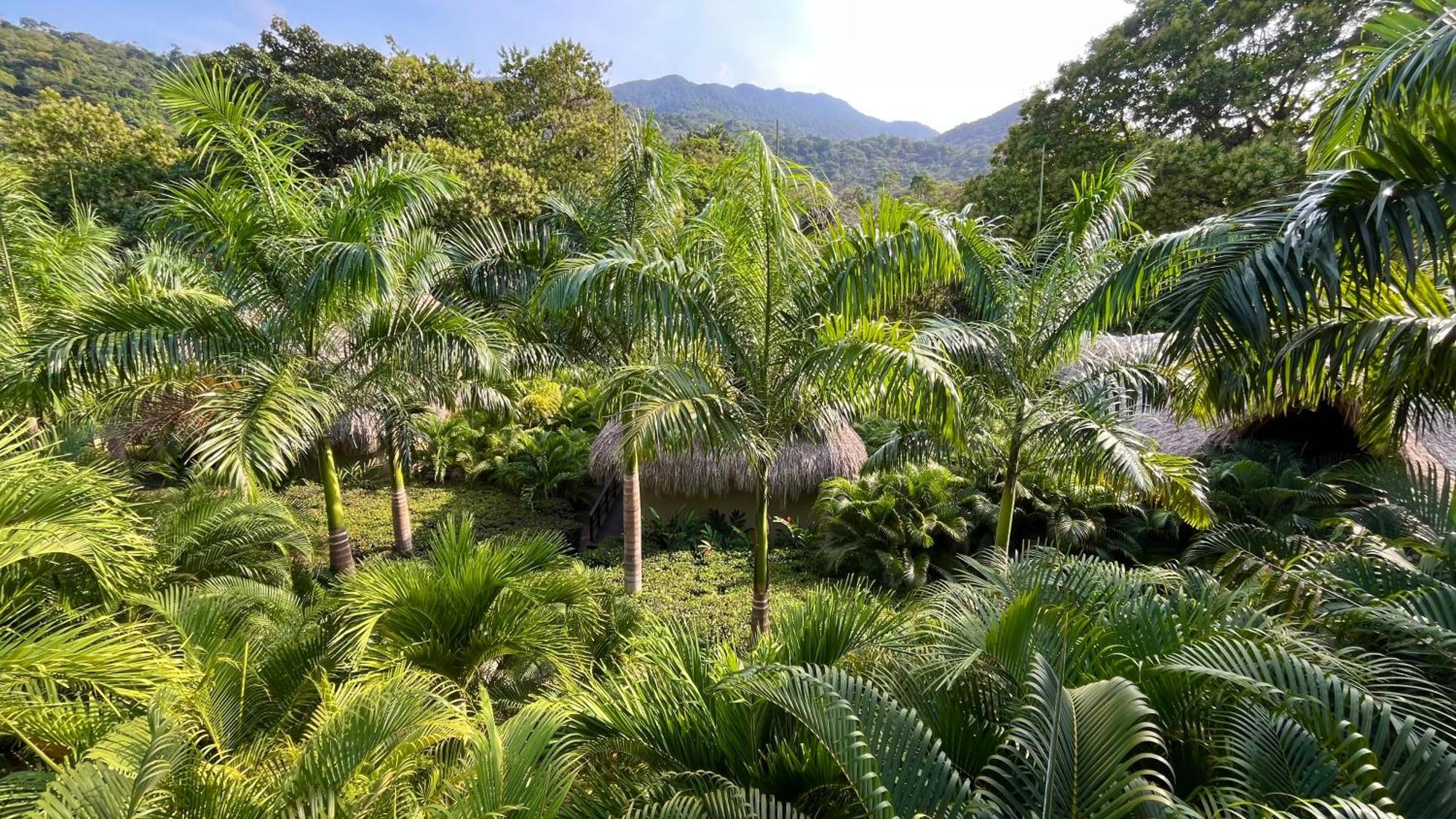 Senda Watapuy Hotel El Zaino Exterior photo The Palm House